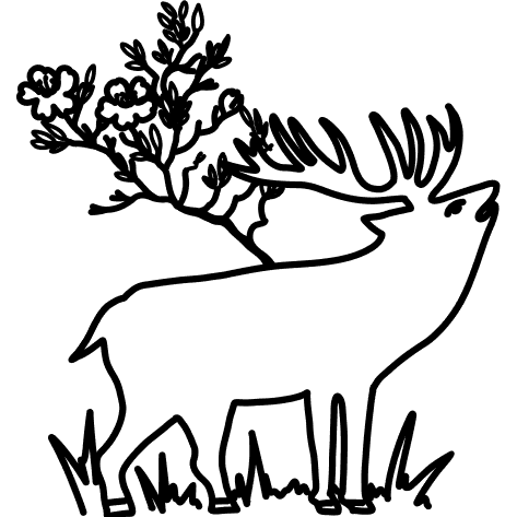 Забайкалье. Мой край — моя семья