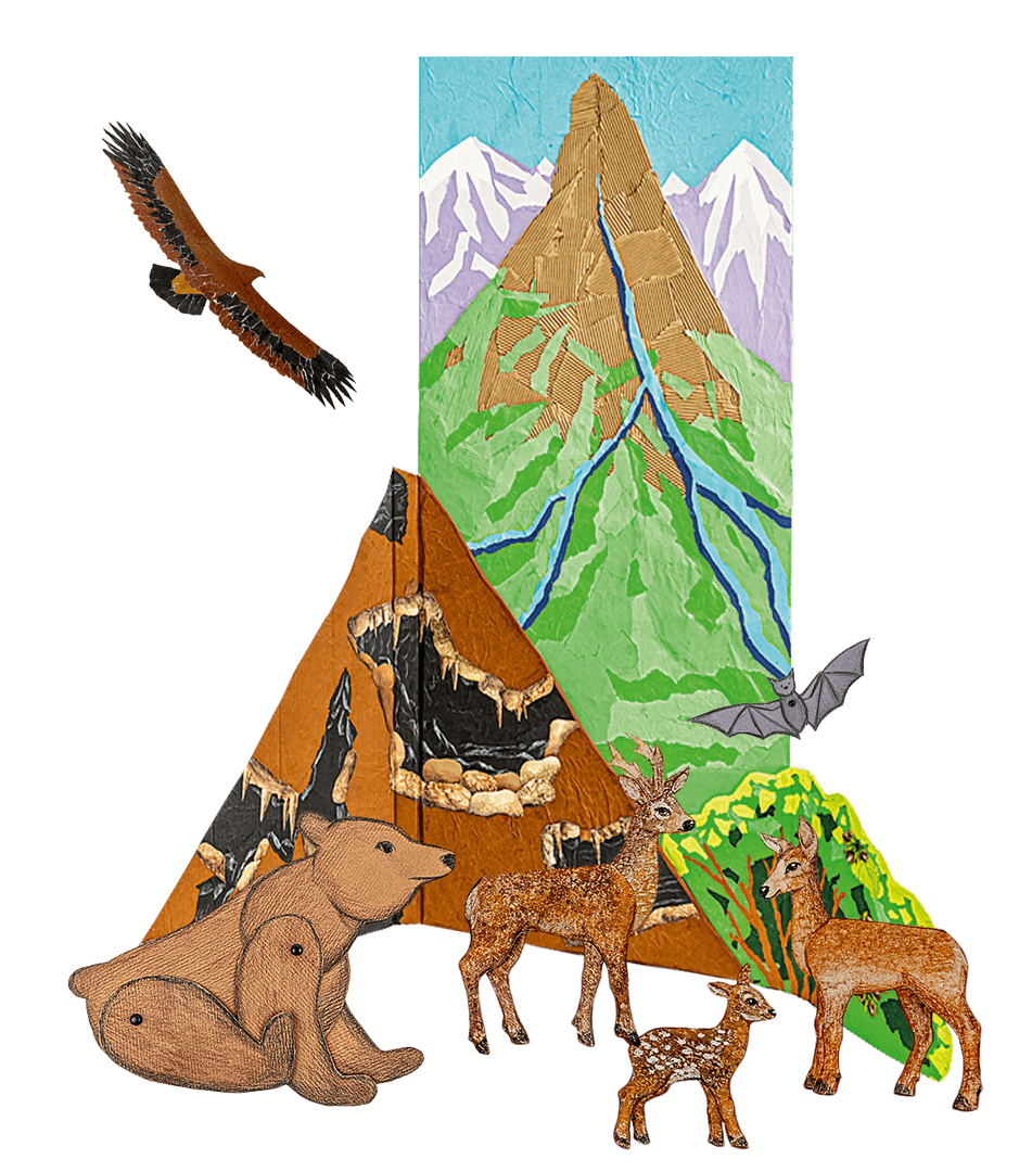 Тайны горных вершин