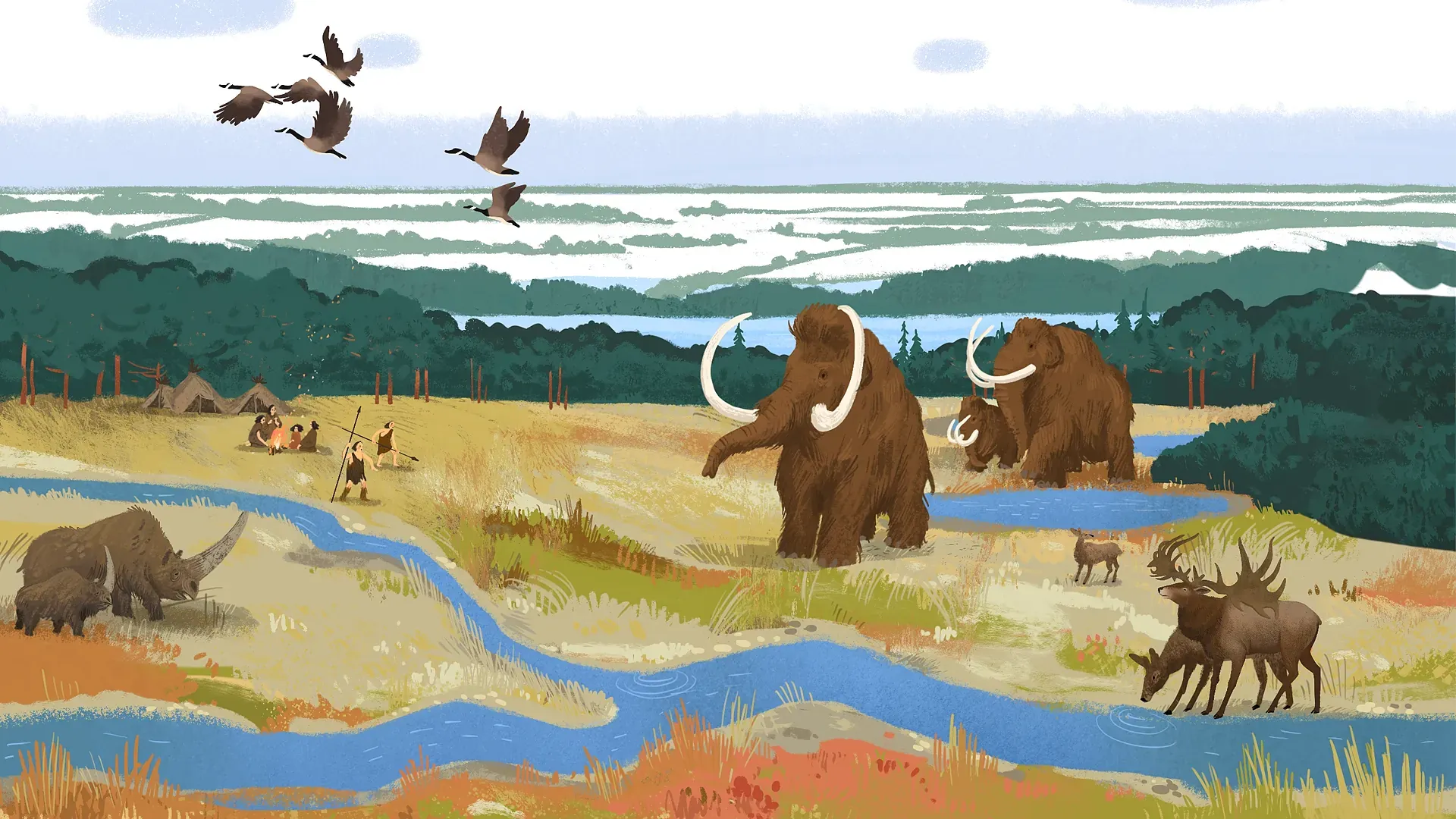 Фотография выставки