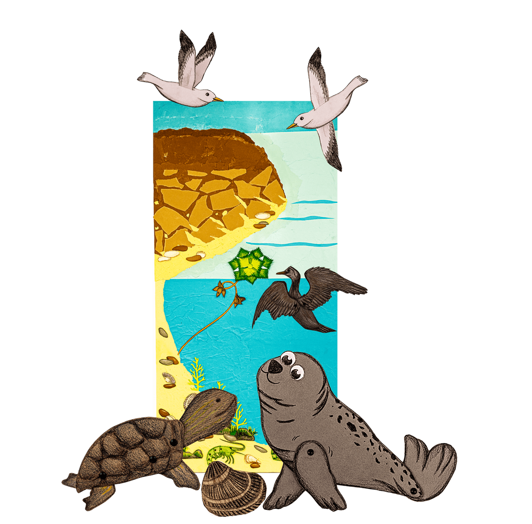 На воде и под водой